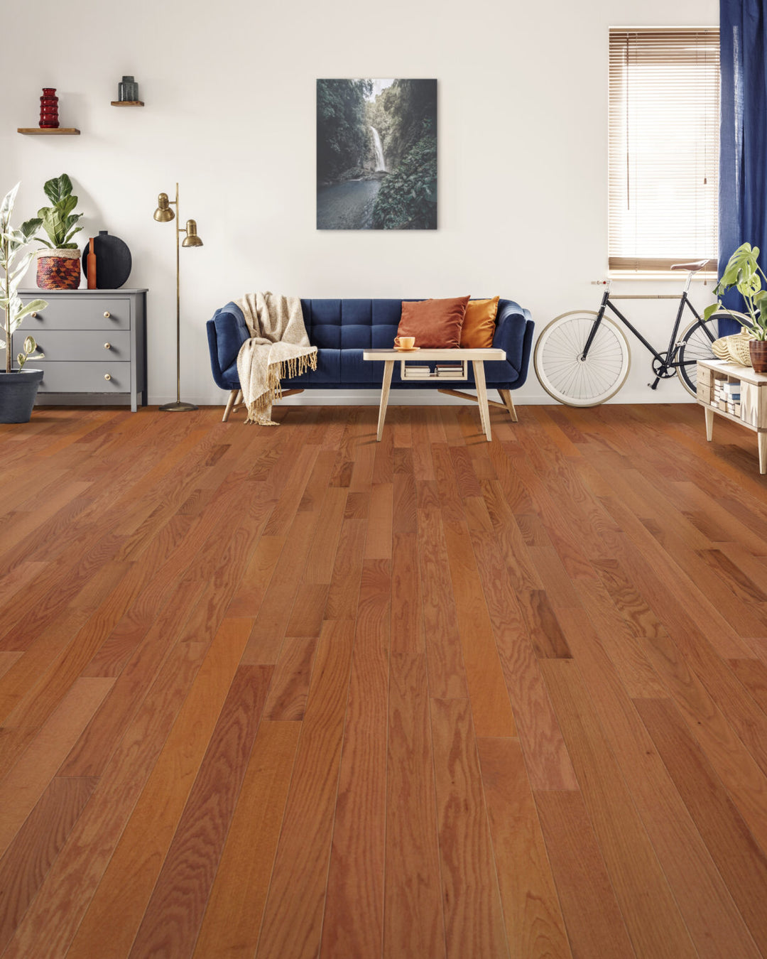Butterscotch Oak