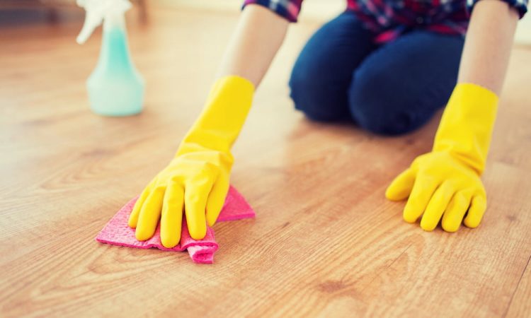 do dog paws scratch wood floors