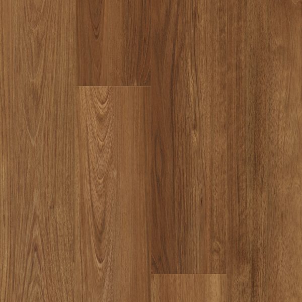 Brazilian Cherry SPC